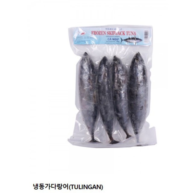 Cá ngừ